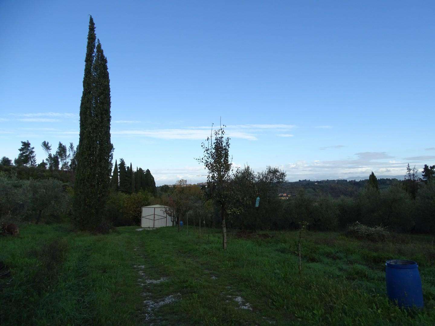  - foto 29