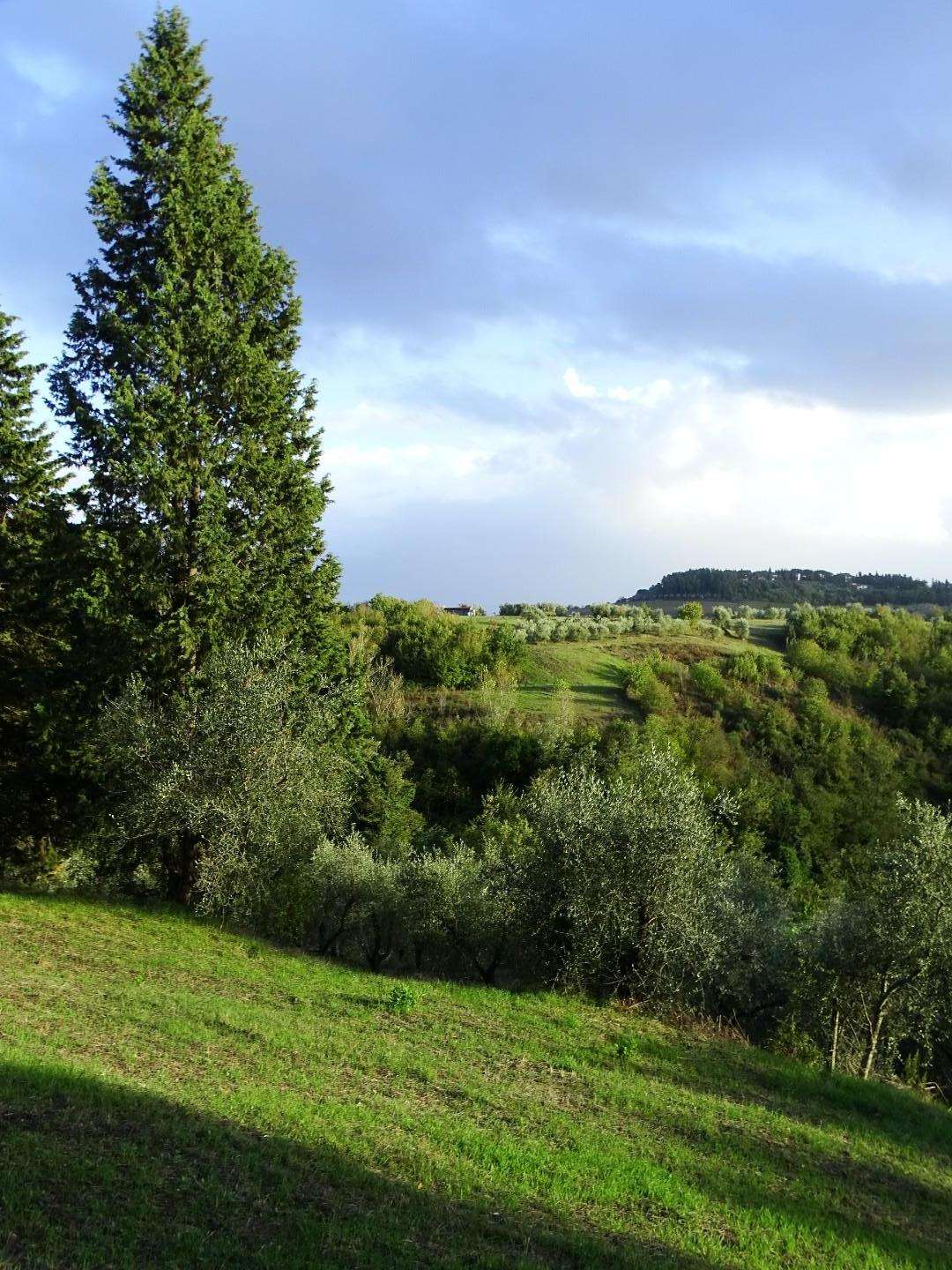 immagine annuncio 4 di 6
