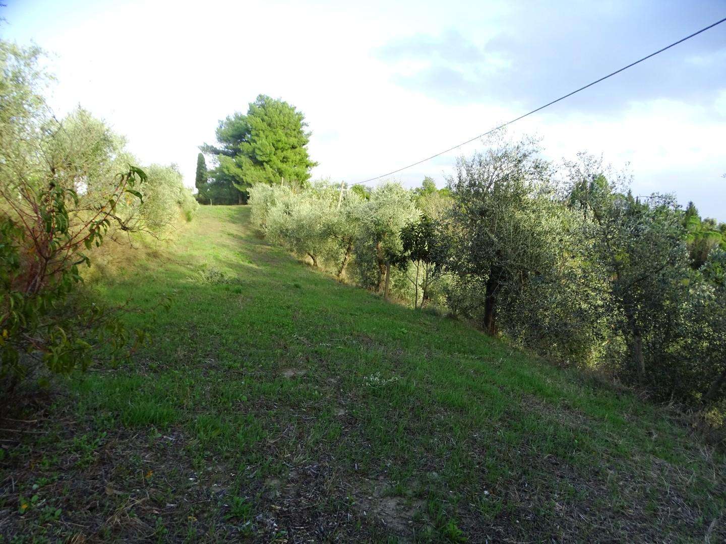immagine annuncio 8 di 11