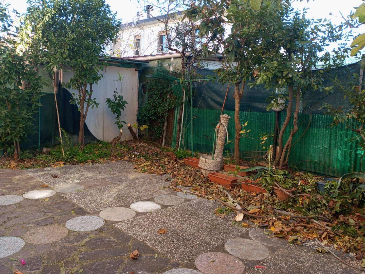  - foto 29