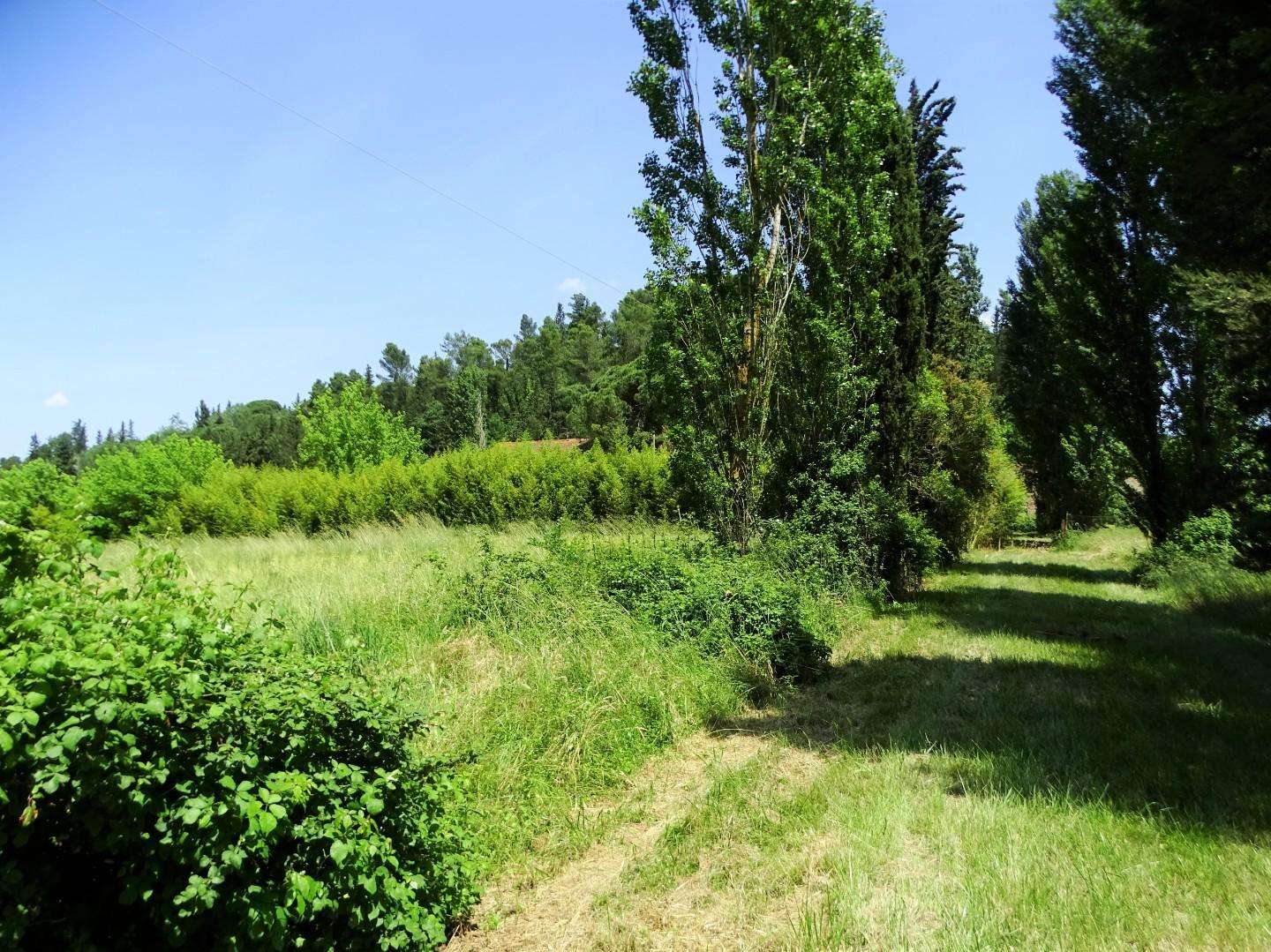  - foto 31