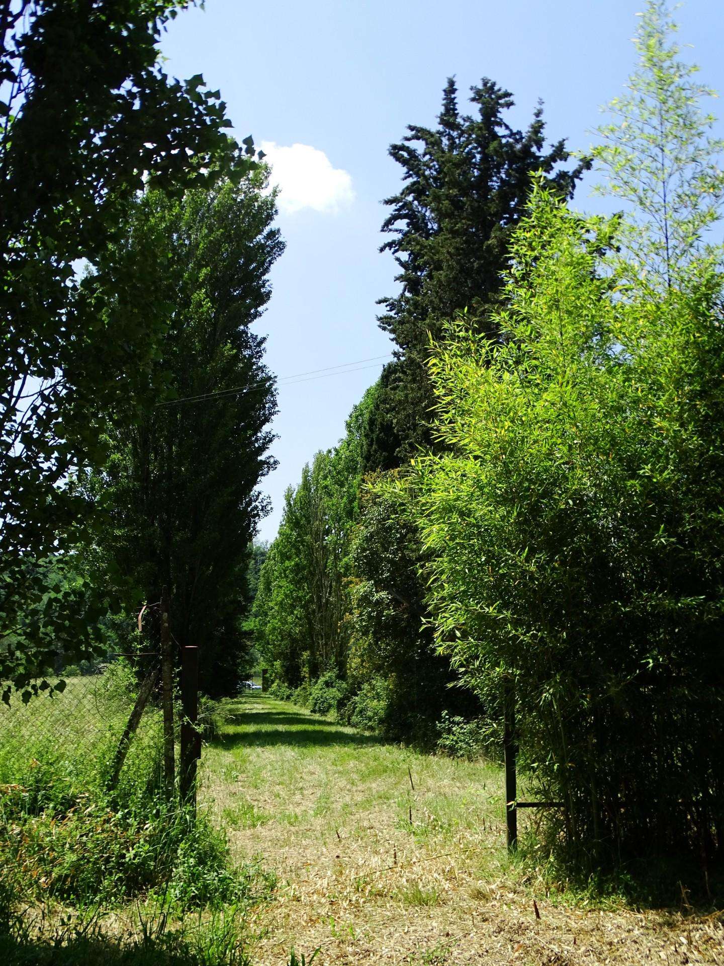  - foto 30