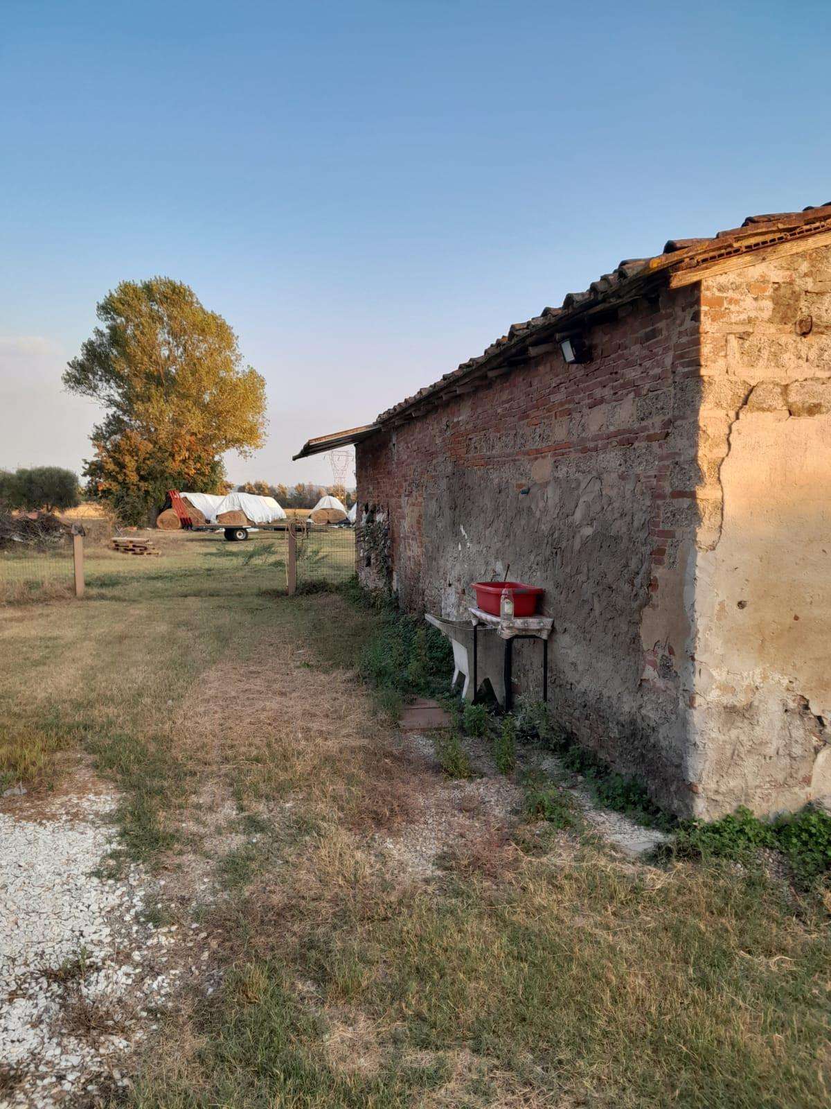 immagine annuncio 6 di 8