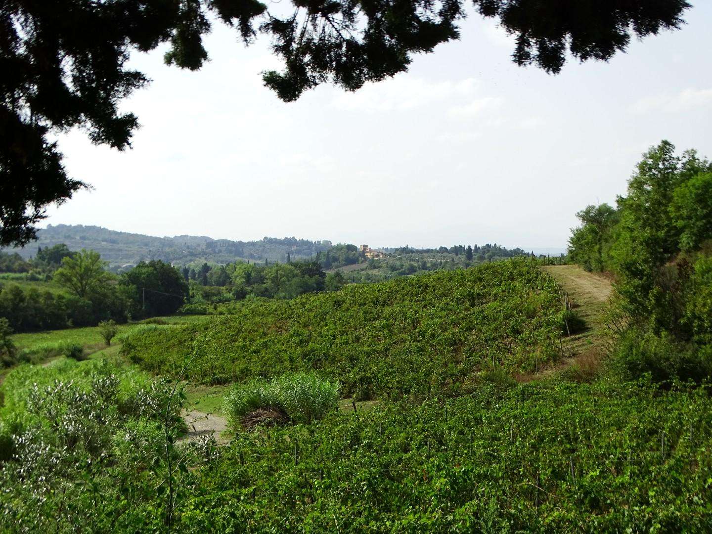 immagine annuncio 5 di 7