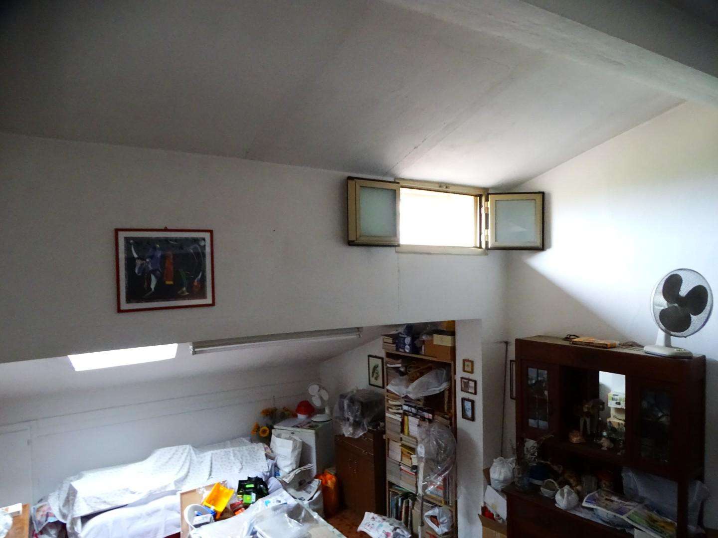  - foto 19