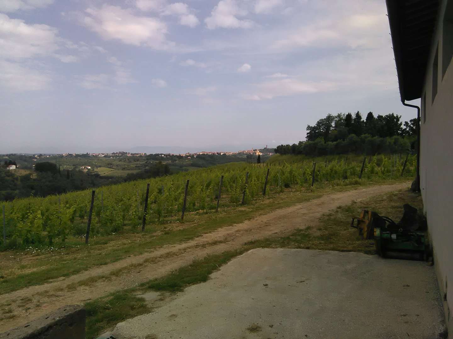 immagine annuncio 13 di 15