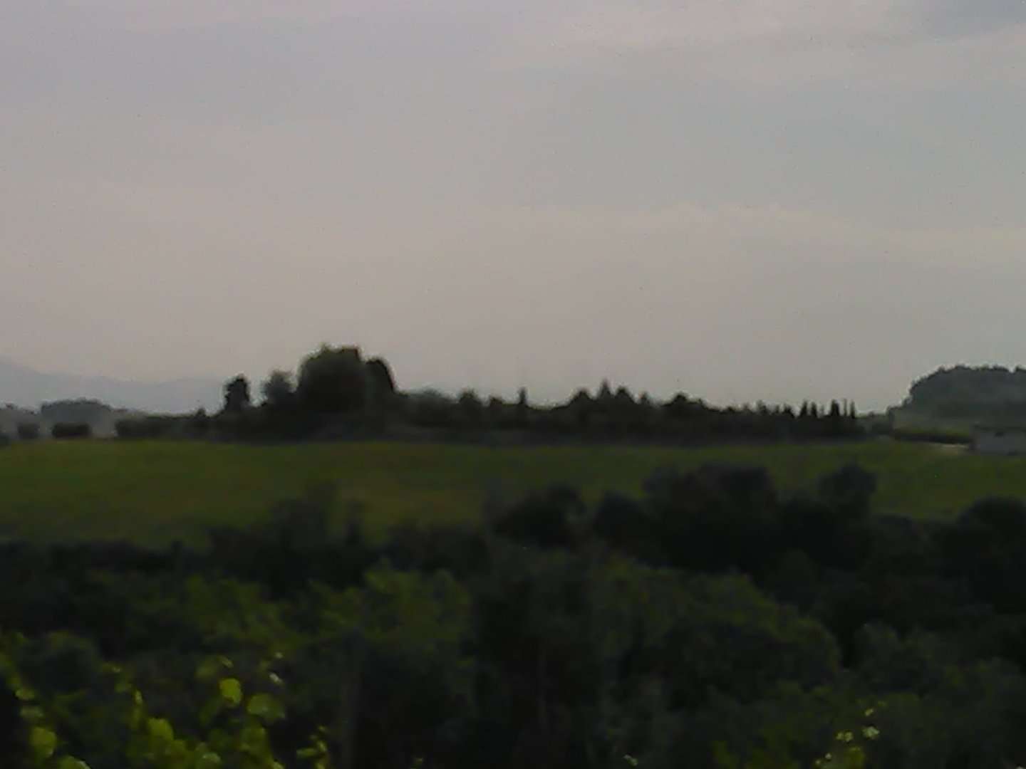  - foto 26