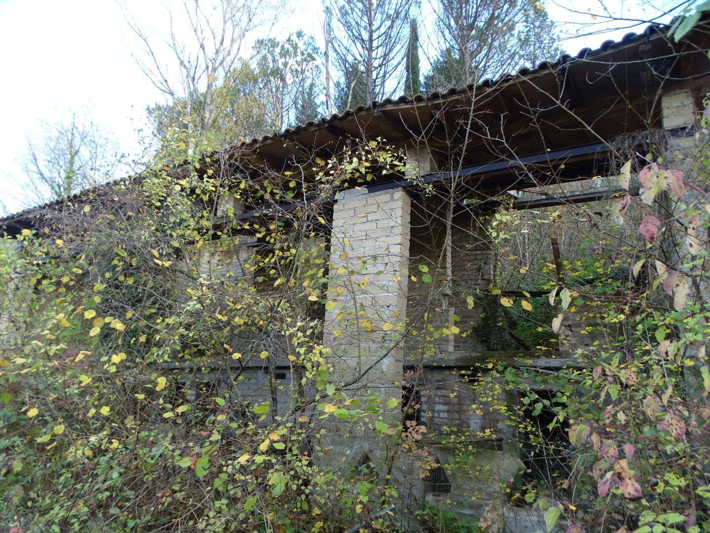  - foto 7