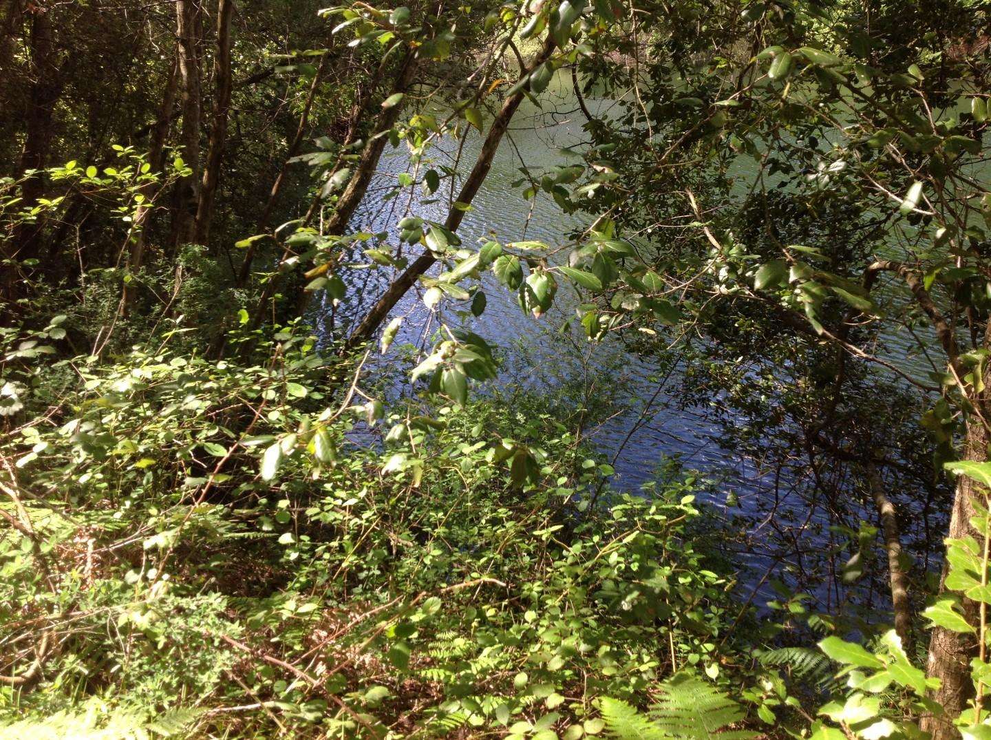  - foto 28