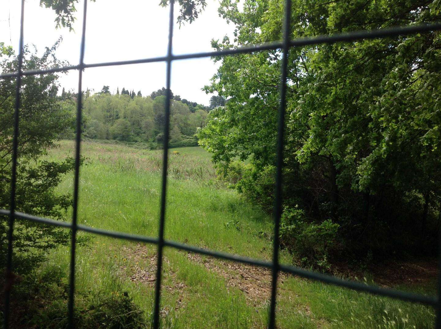  - foto 36