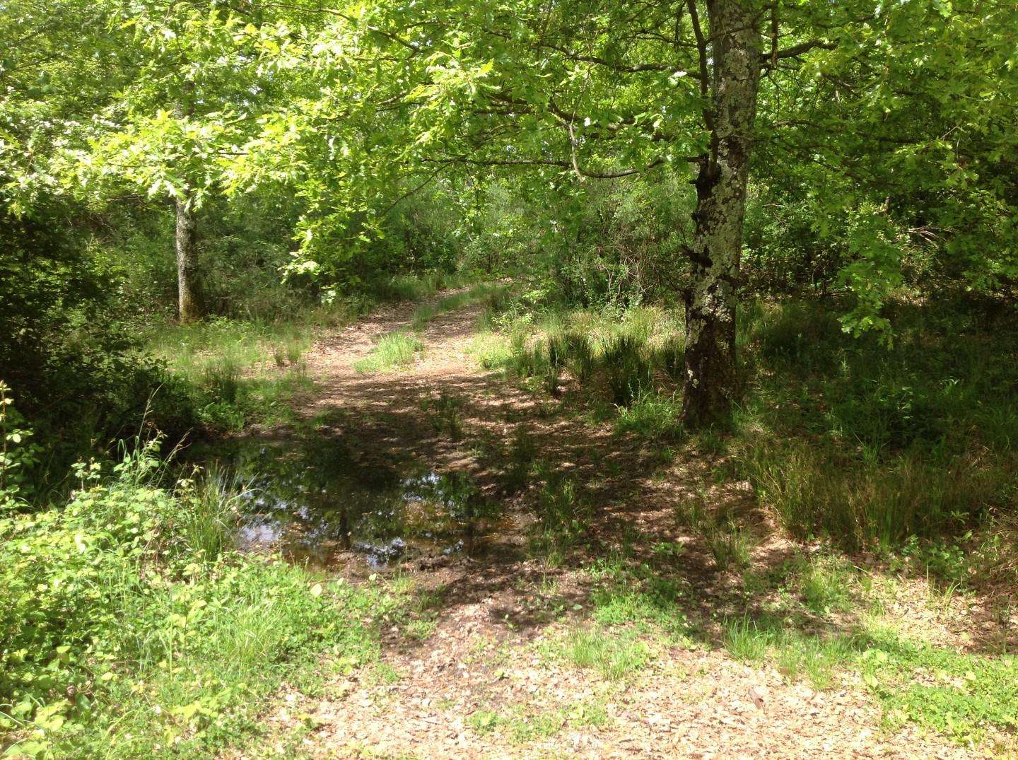  - foto 38