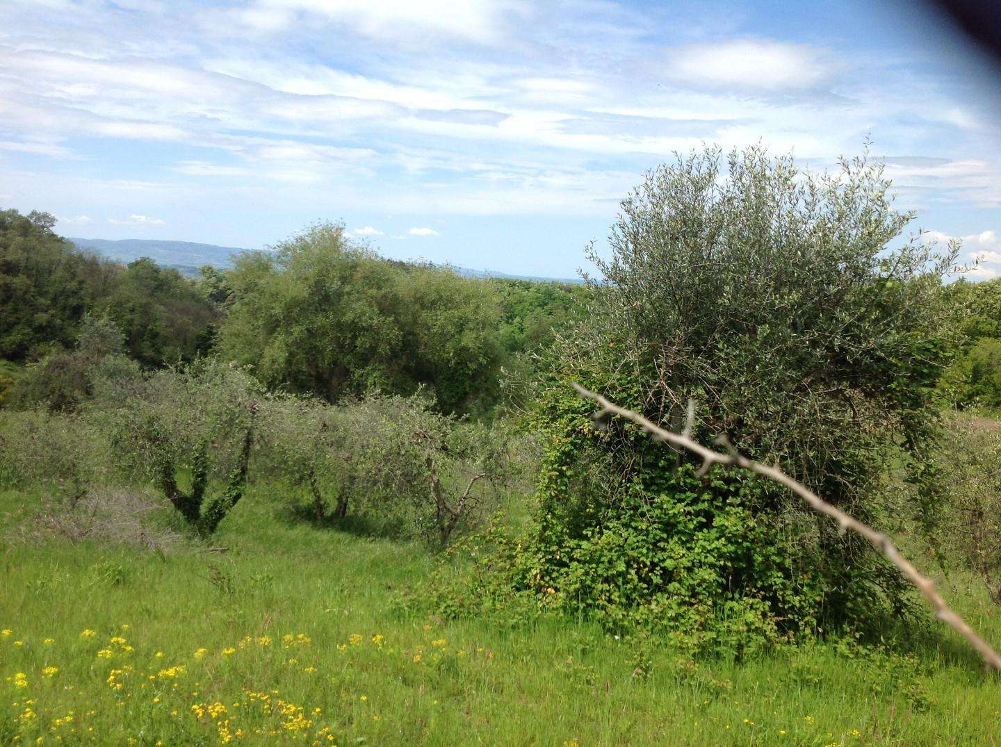  - foto 39
