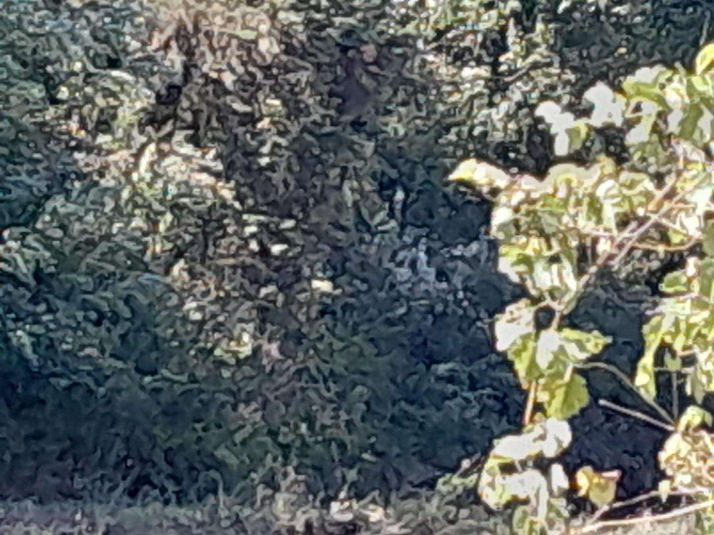  - foto 17