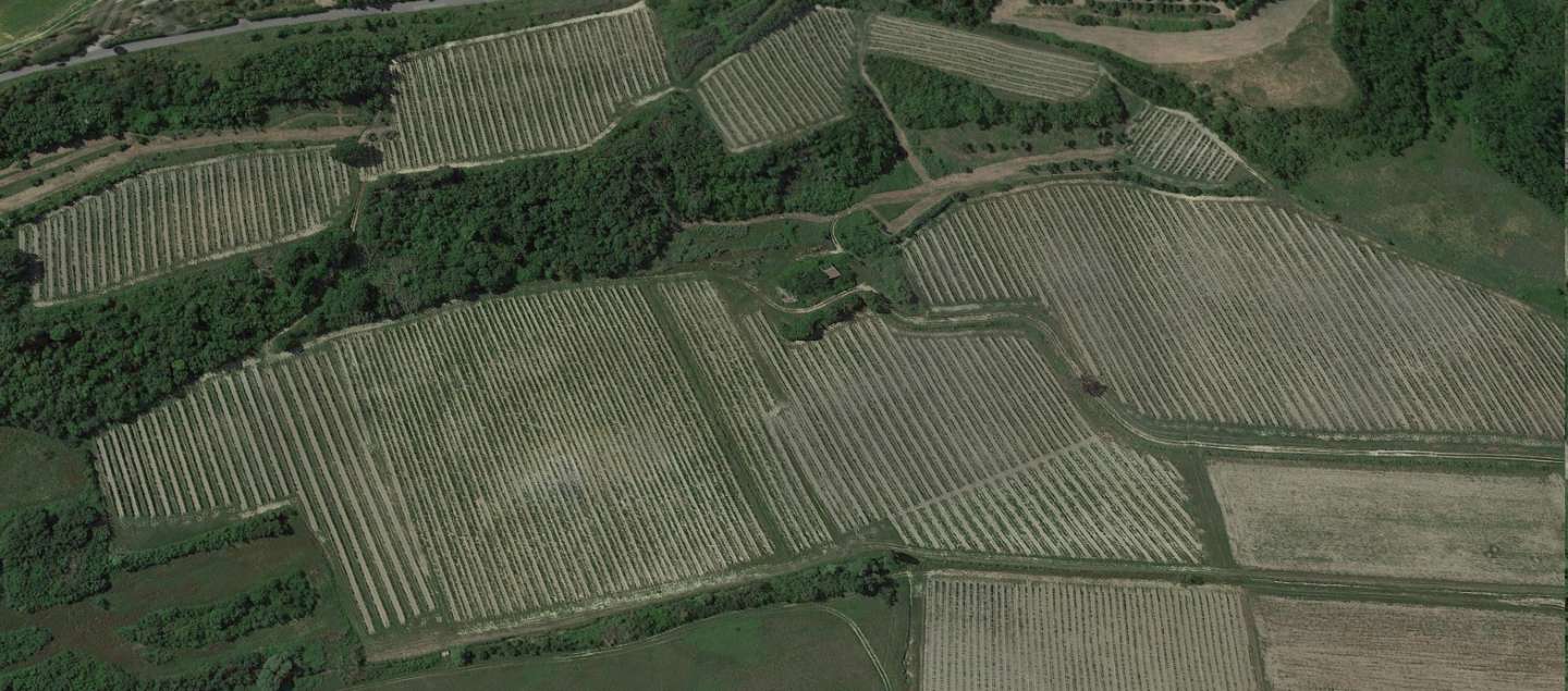Terreno agricolo Via Sasso,, San Miniato