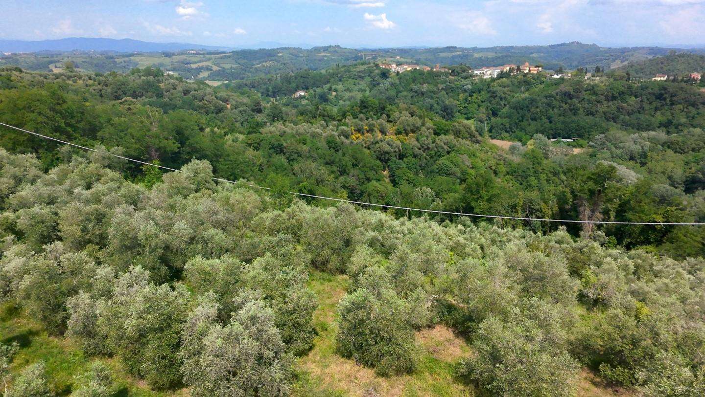  - foto 3