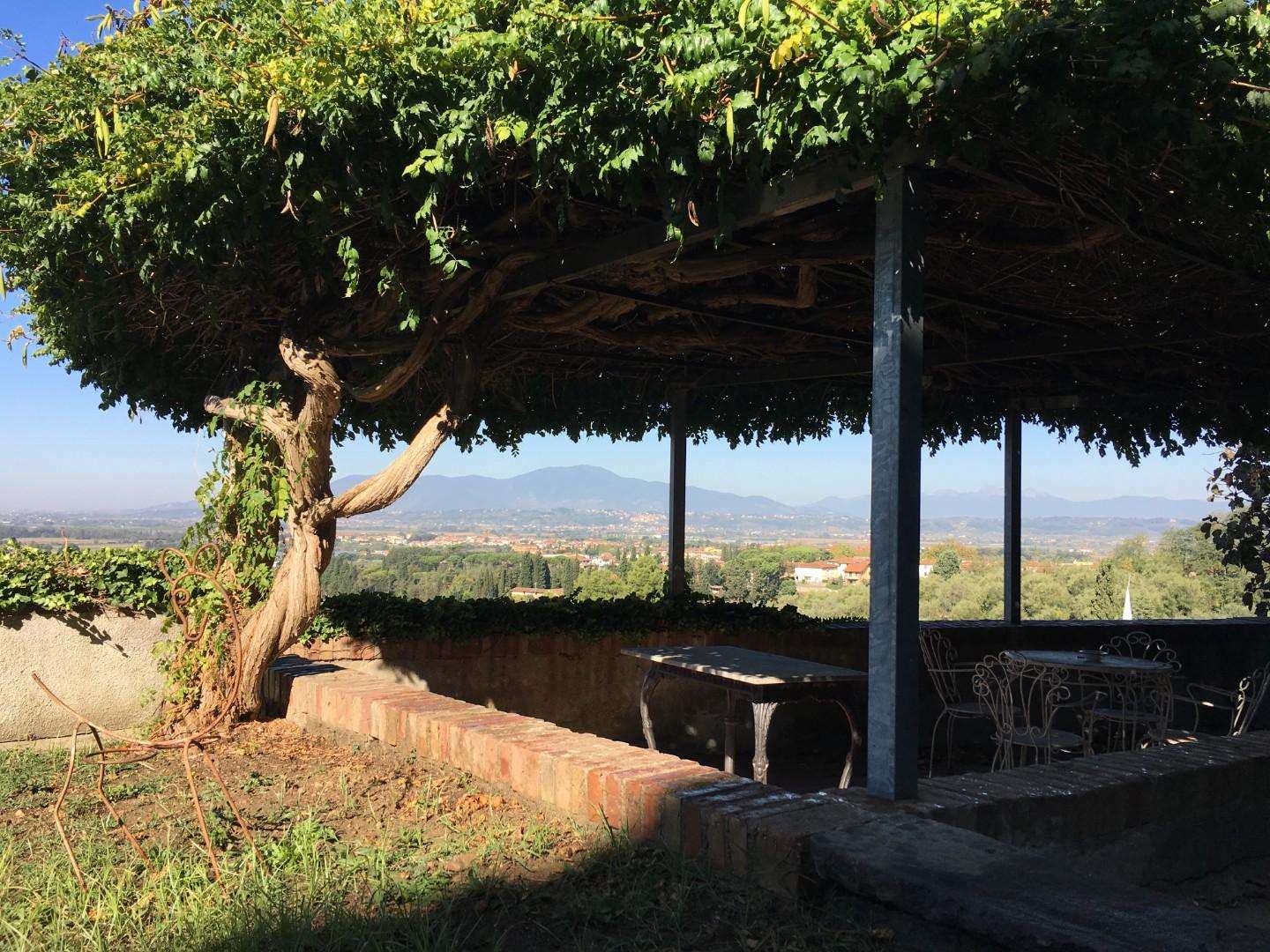  - foto 4