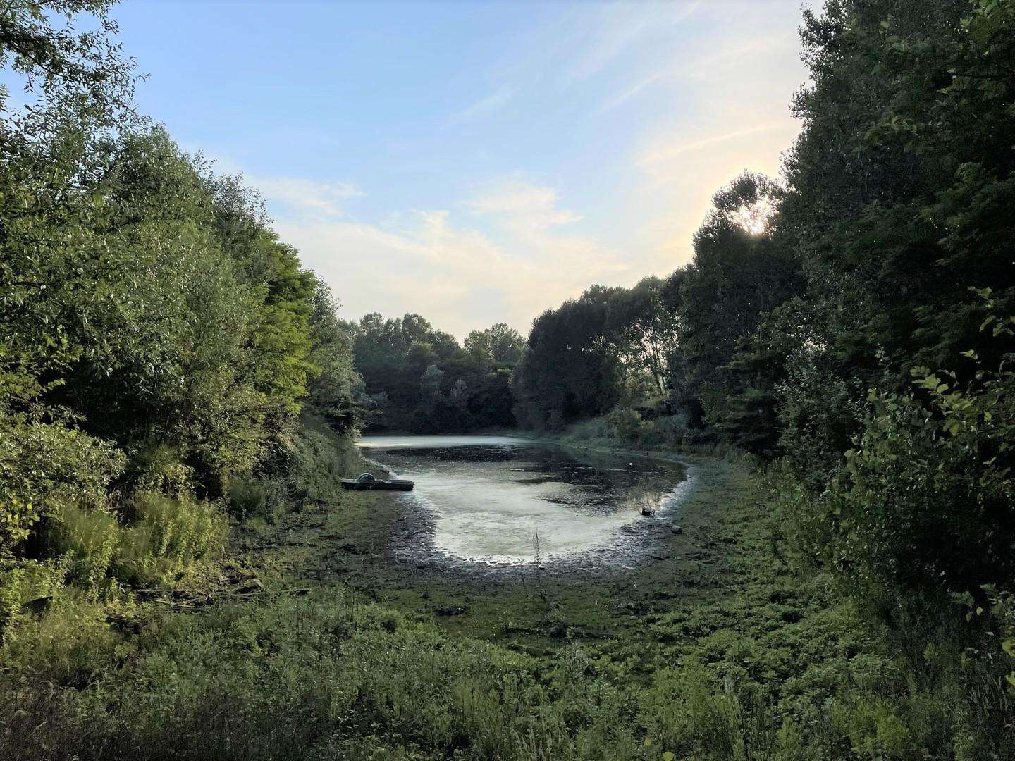 immagine annuncio 3 di 13