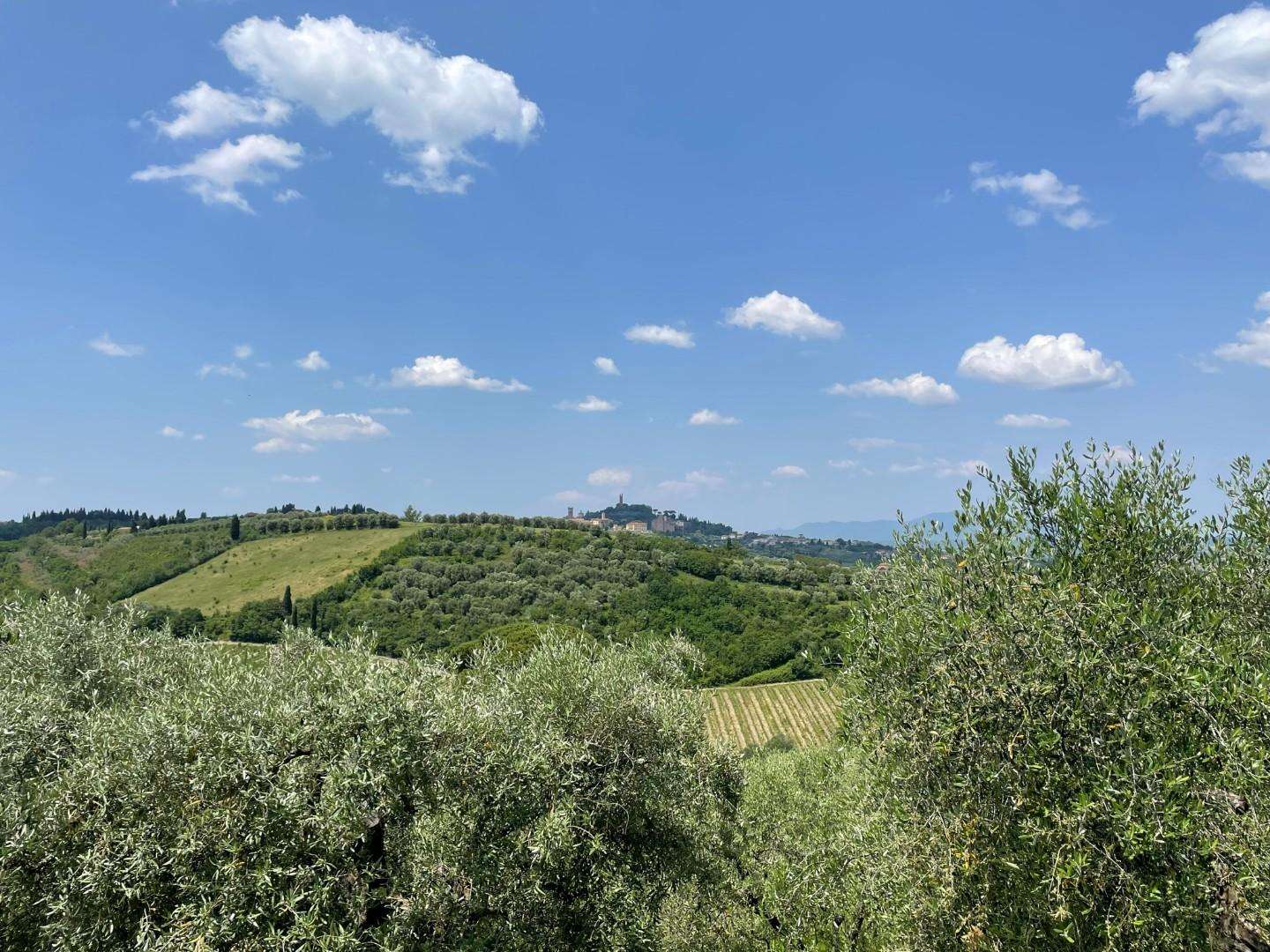 immagine annuncio 1 di 6