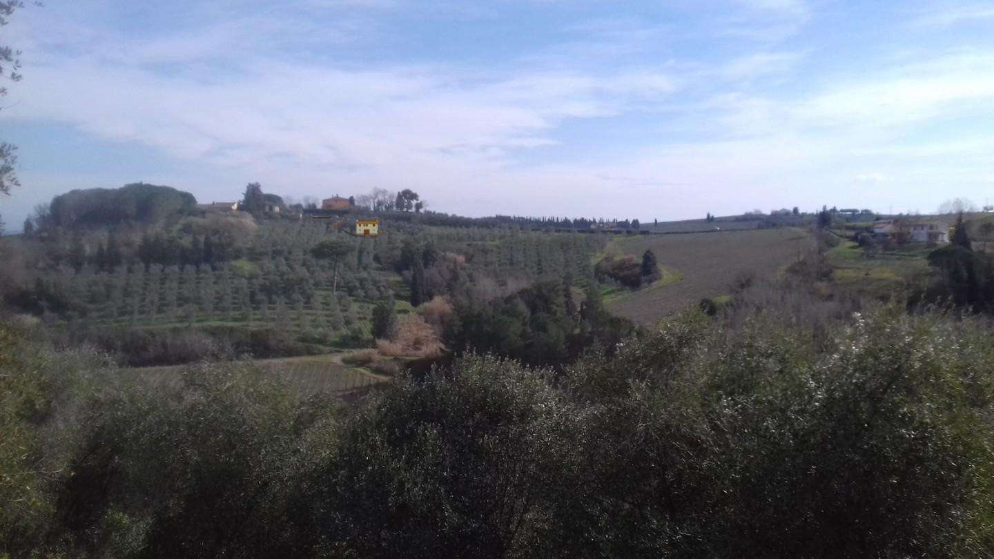 immagine annuncio 3 di 6