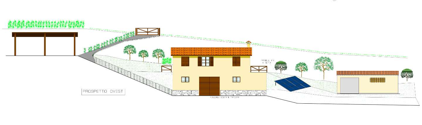 immagine annuncio 4 di 6