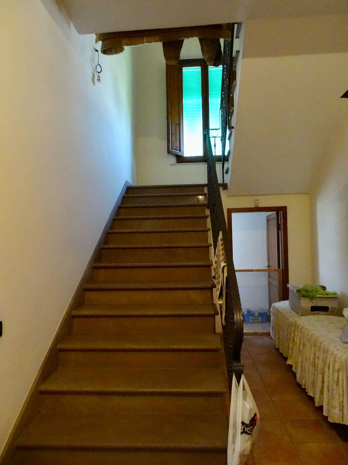  - foto 15