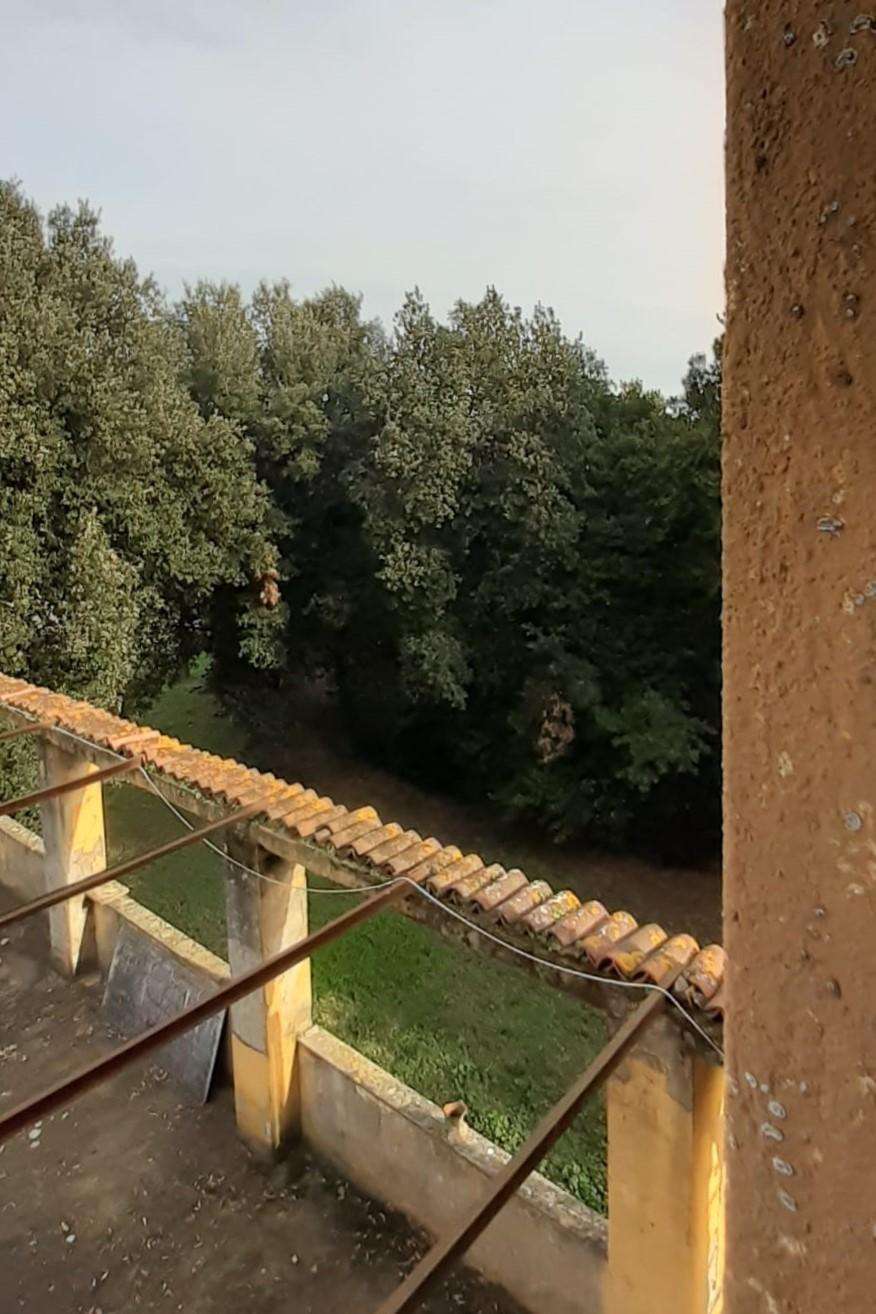  - foto 9