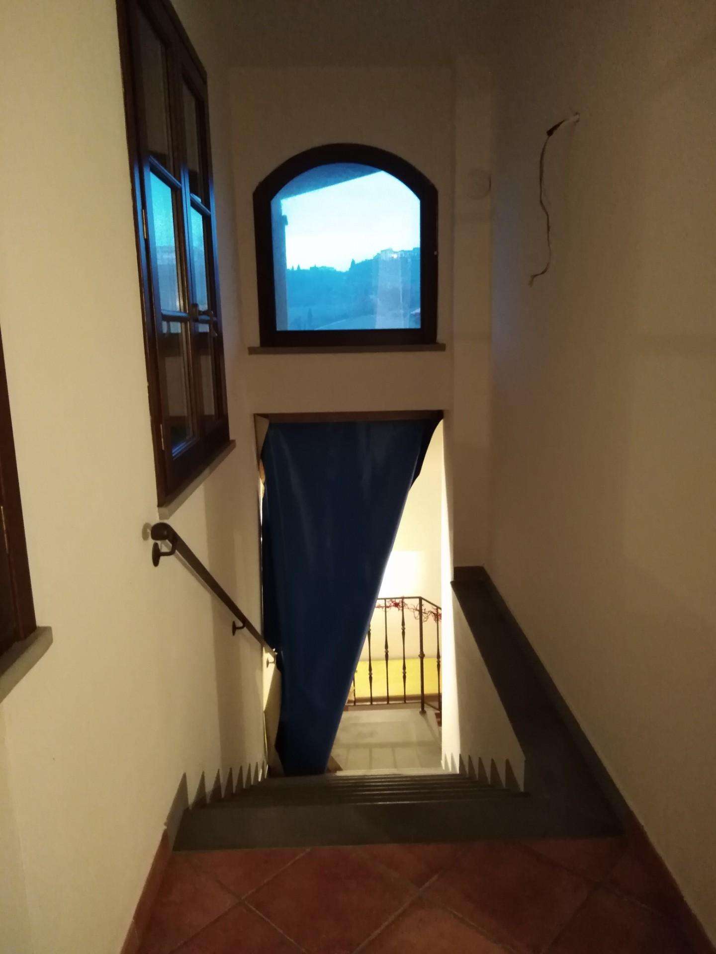  - foto 28