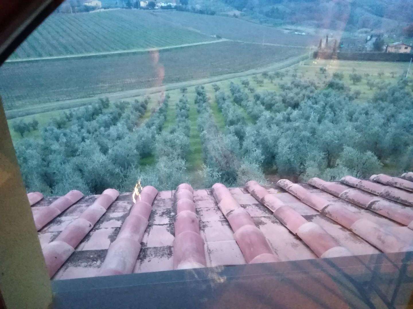 - foto 30