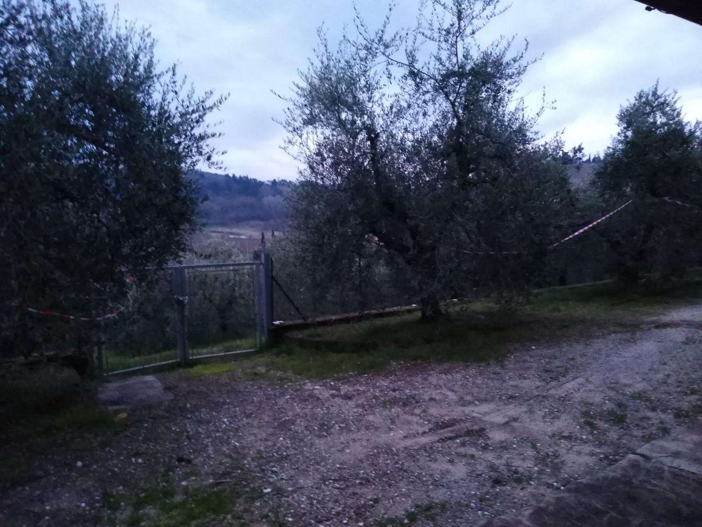  - foto 36