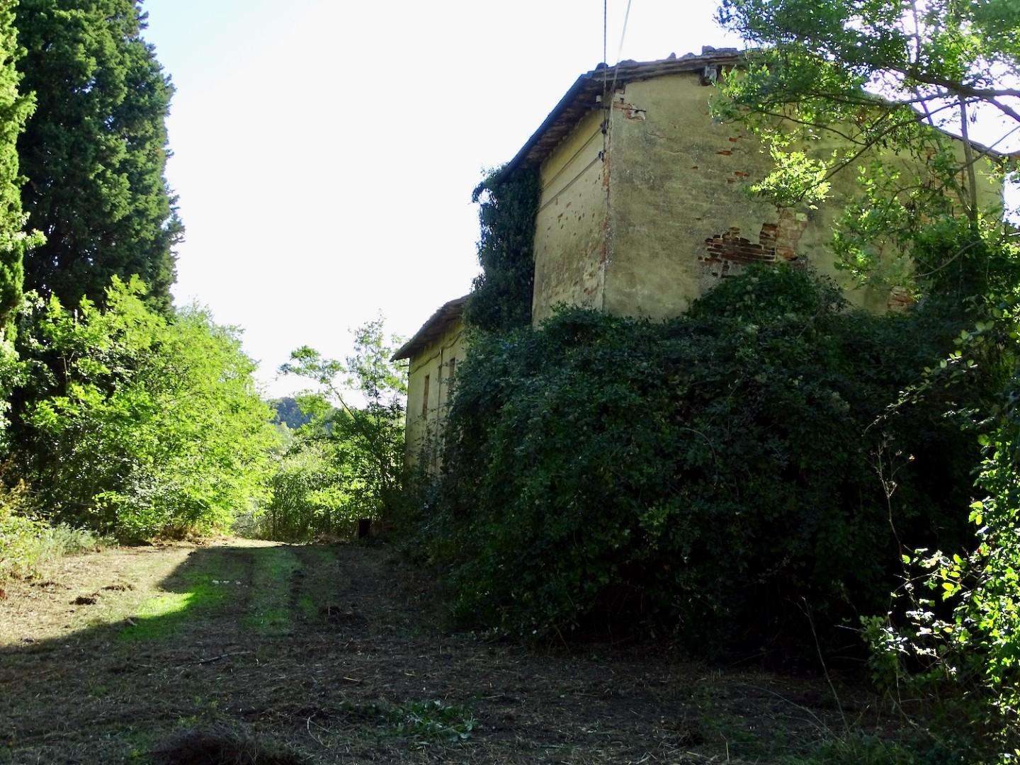 immagine annuncio 7 di 14
