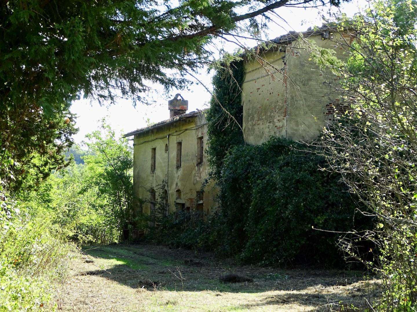 immagine annuncio 8 di 14