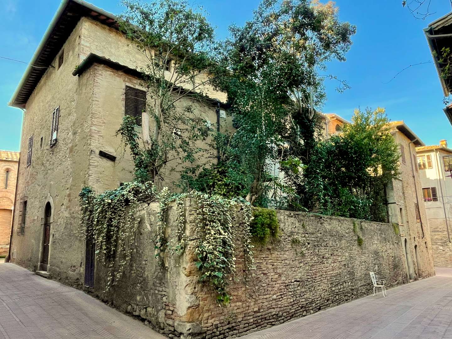 immagine annuncio 8 di 11