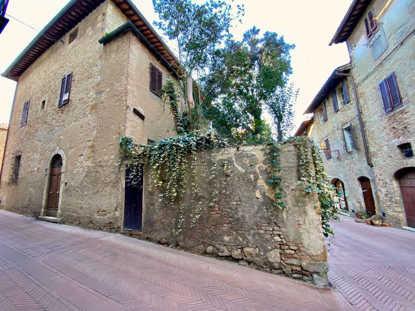 immagine annuncio 10 di 11