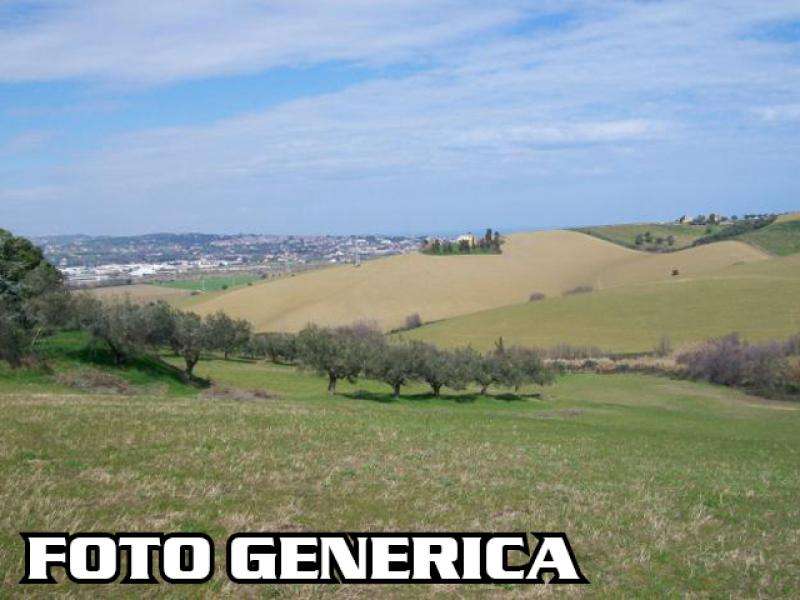 Terreno agricolo in Vendita a San Miniato Via del Poggio,