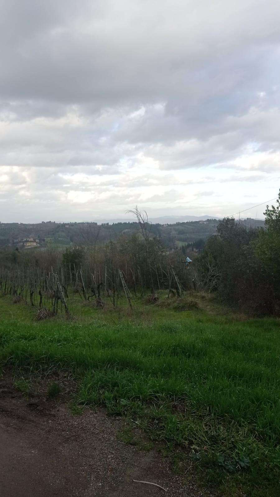 immagine annuncio 1 di 4