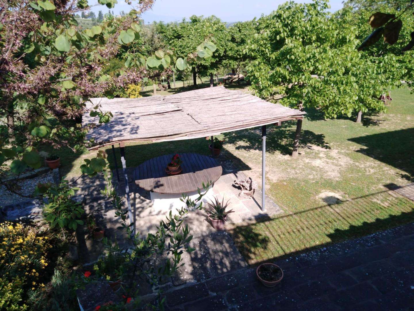  - foto 37