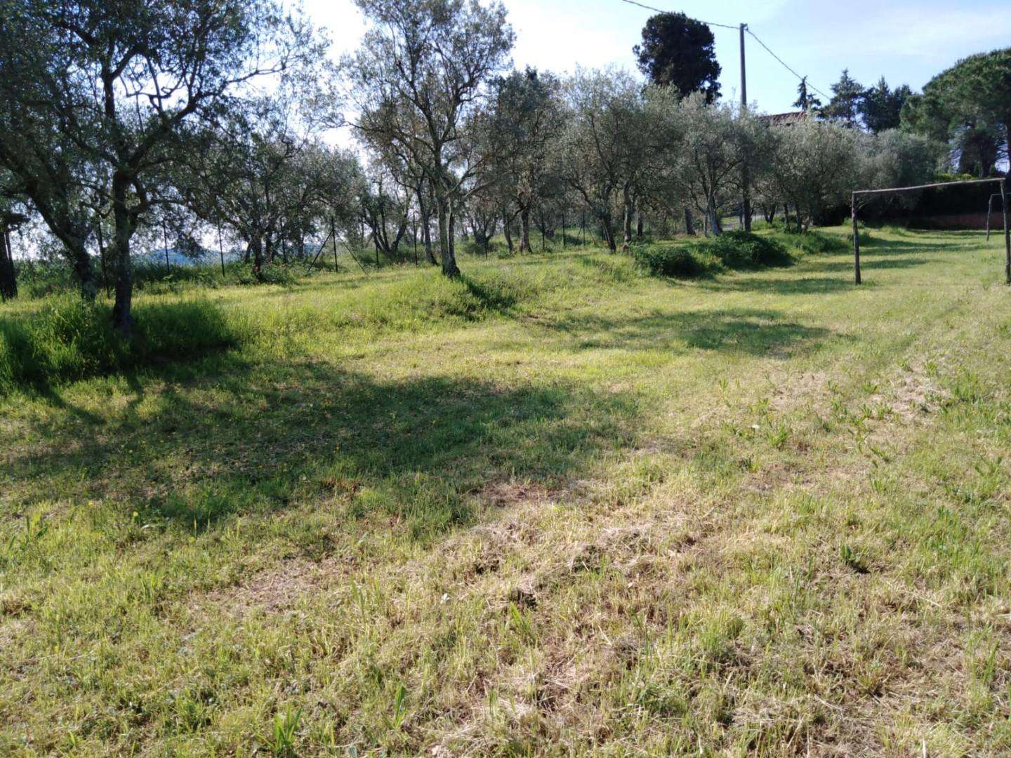  - foto 63