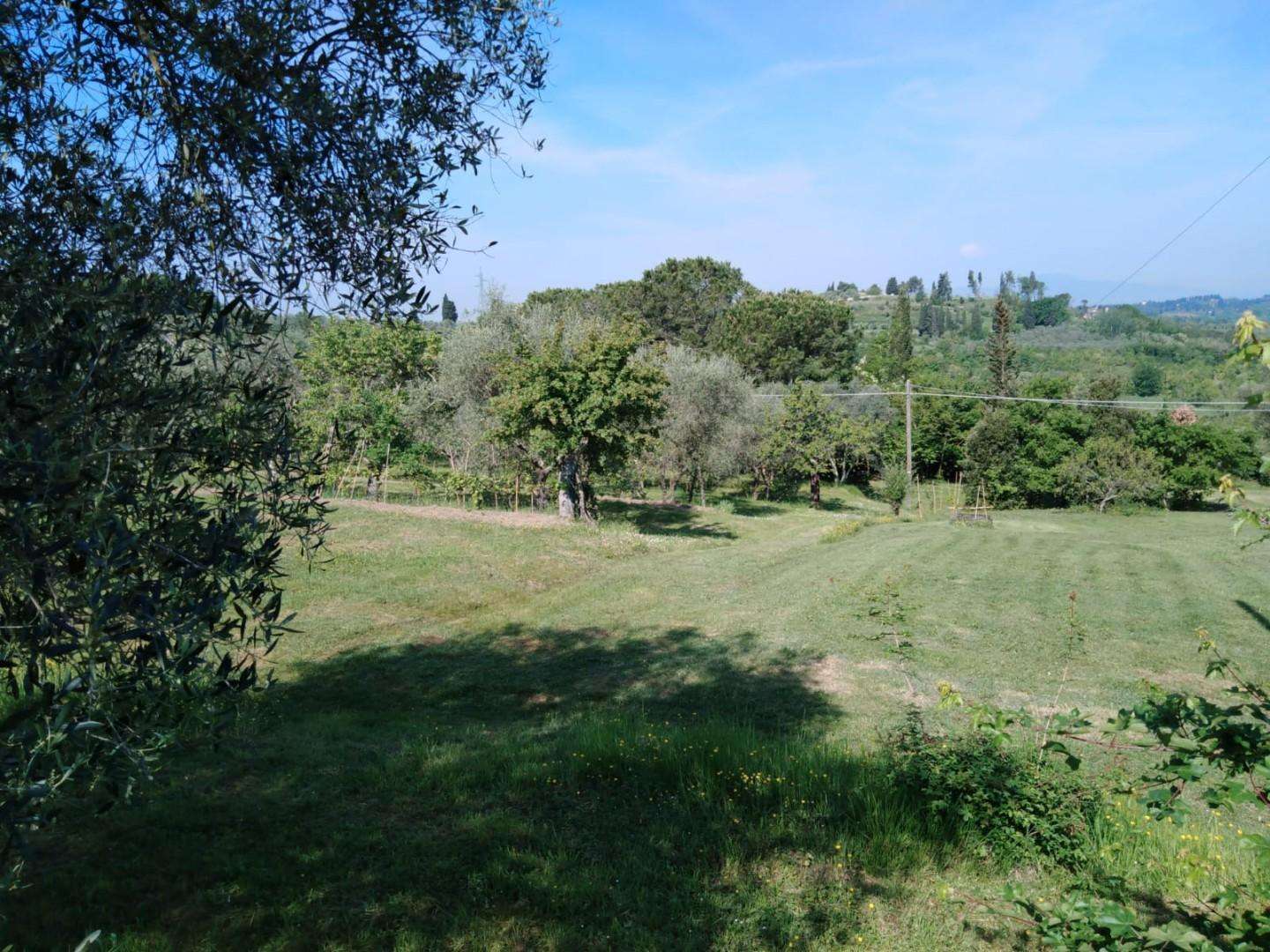  - foto 64
