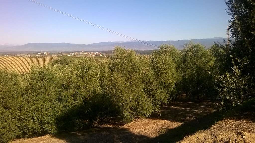  - foto 5