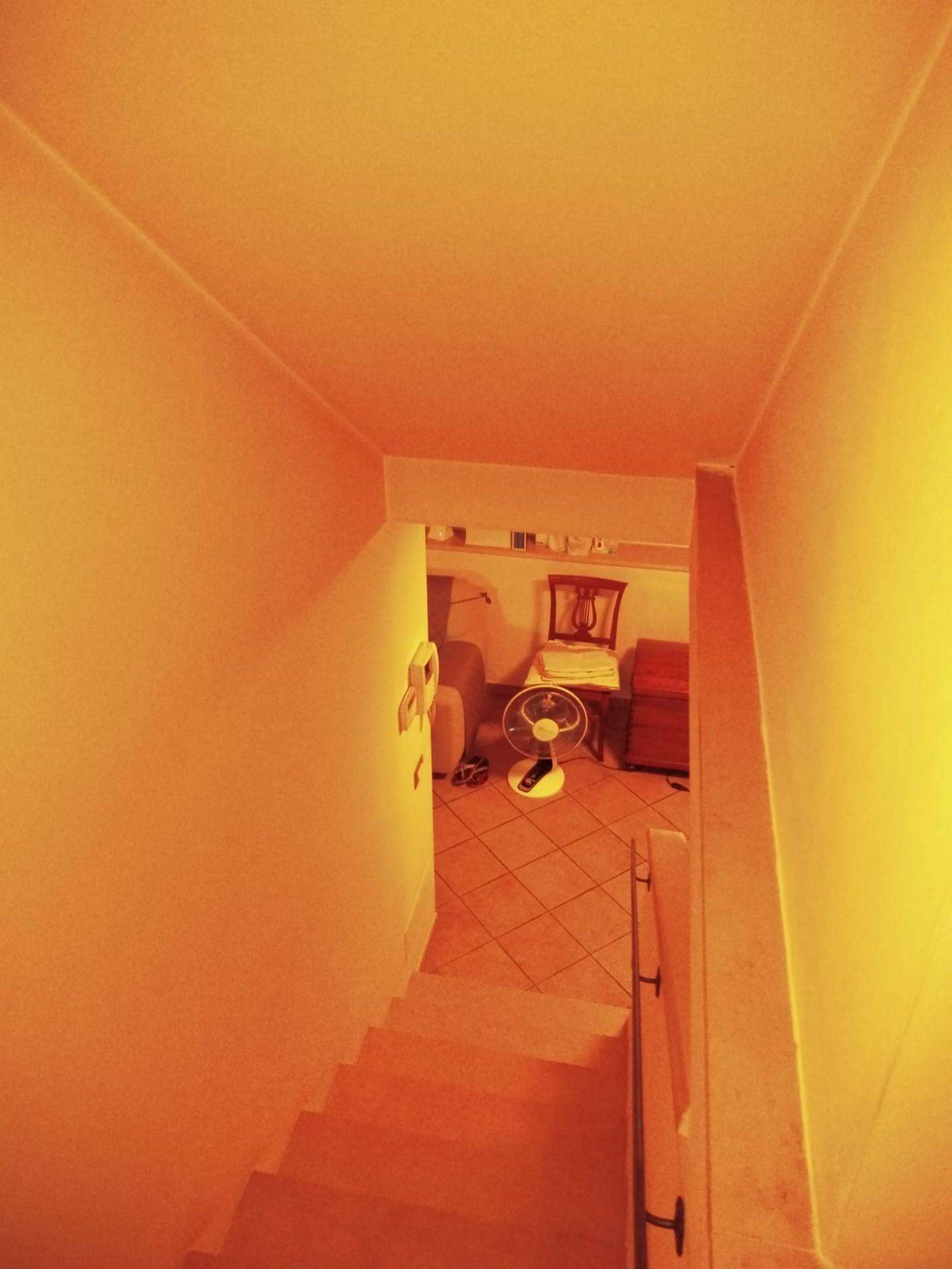  - foto 26