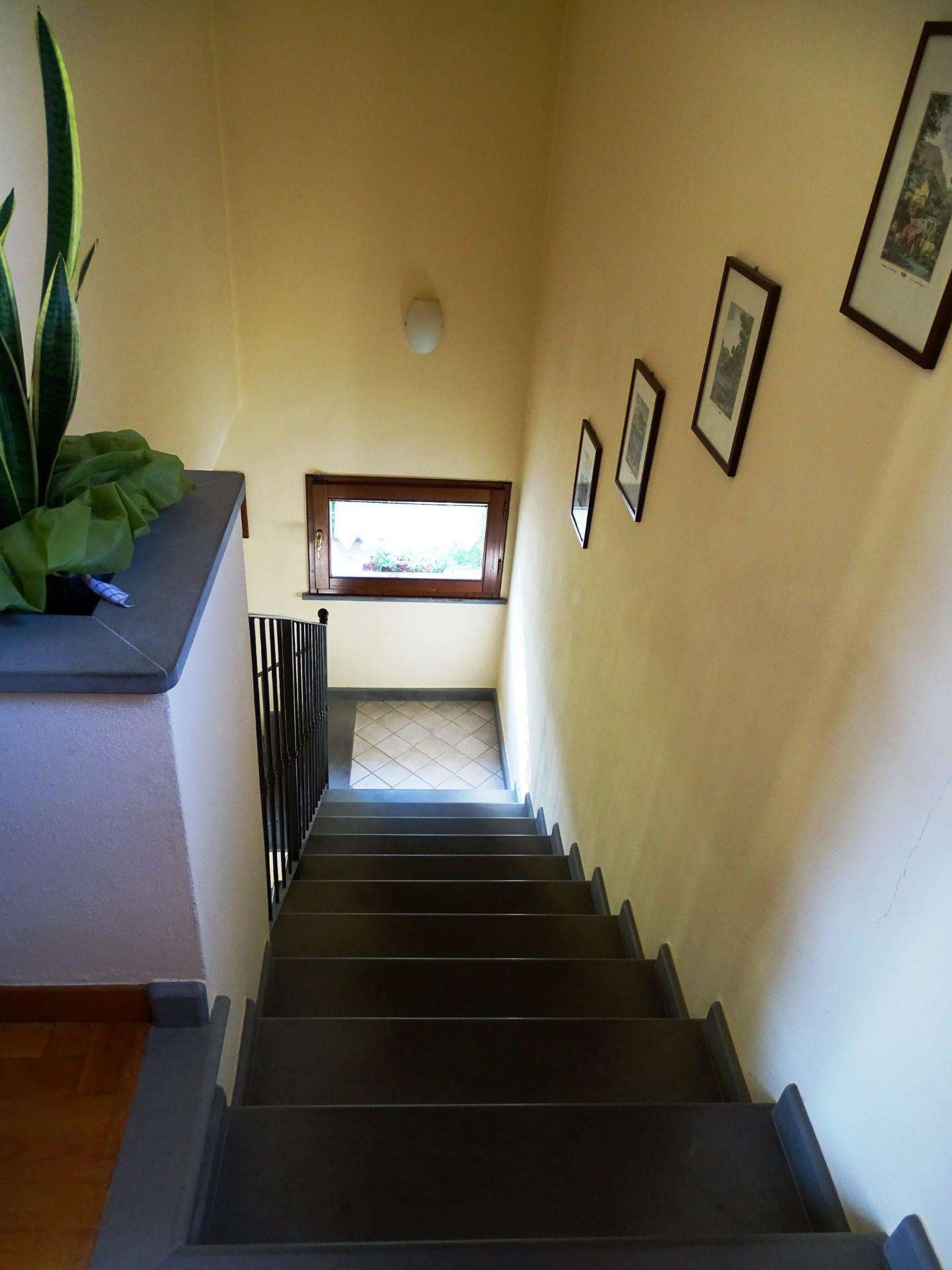  - foto 31