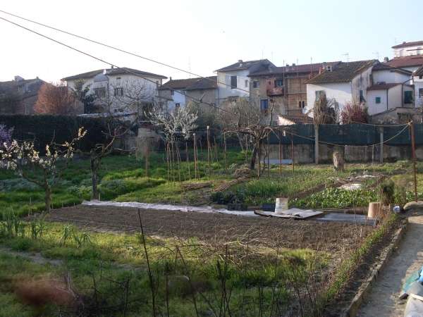 immagine annuncio 1 di 2