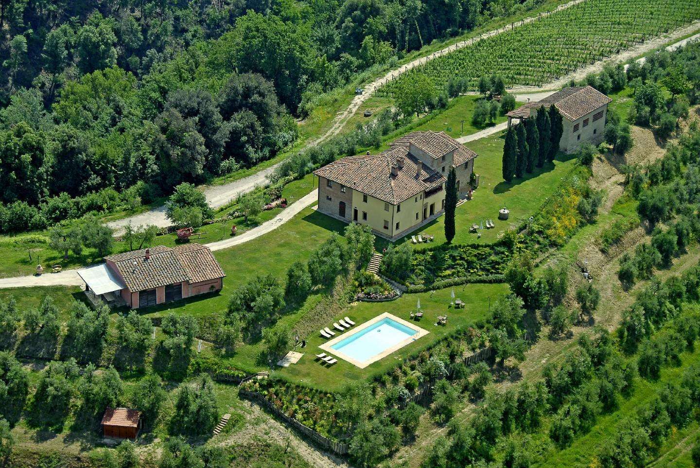 azienda agricola in vendita a San Miniato