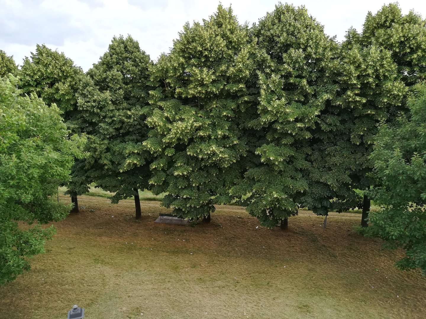  - foto 4
