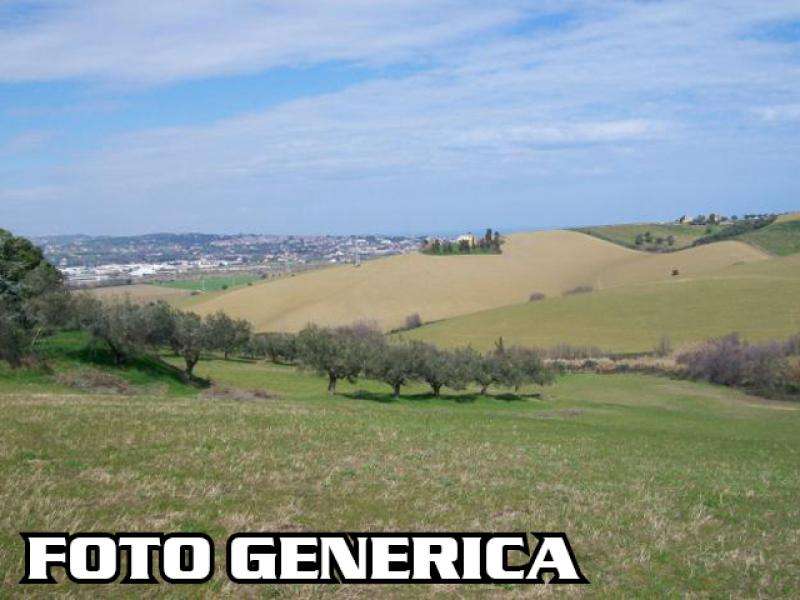 Terreno agricolo in Vendita a San Miniato Pietro Bagnoli, ,