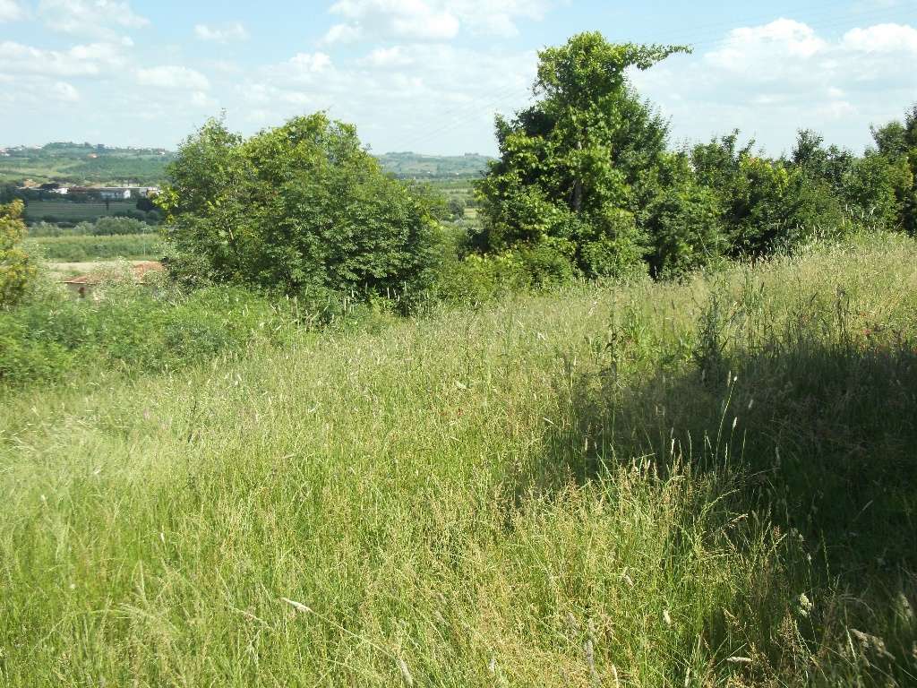 terreno edificabile in vendita a San Miniato in zona Ponte a Elsa