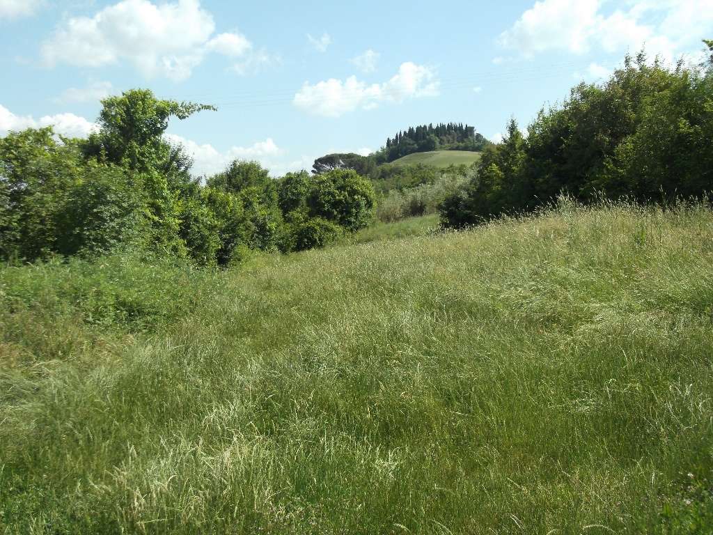 immagine annuncio 4 di 8