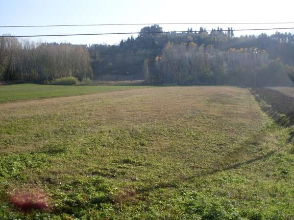 Terreno agricolo in Vendita a San Miniato Bassa