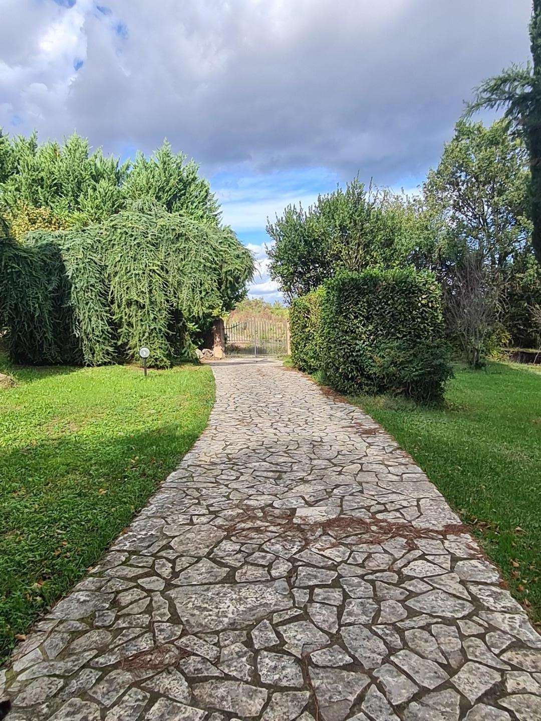  - foto 54