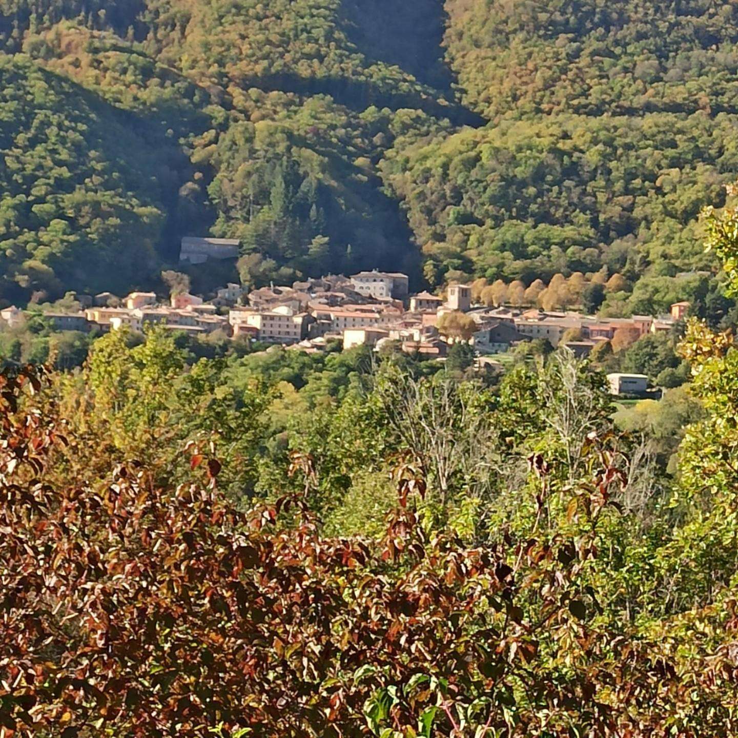 Appartamento Via Salvino Salvini,, Montieri